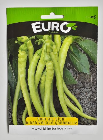 EURO Yalova Çorbacı Biber Tohumu 1 Paket 3 GR